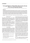 Full Length Migration of Plastic Biliary Stent into the Left Lobe of