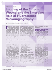 Imaging of the Chronic Wound and the Emerging Role of