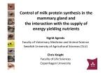 Control of milk protein synthesis in the mammary gland and the