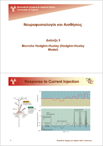 Νευροφυσιολογία και Αισθήσεις Response to Current Injection