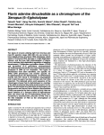 Flavin adenine dinucleotide as a chromophore of the Xenopus (6