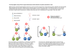 40 nm - PLOS