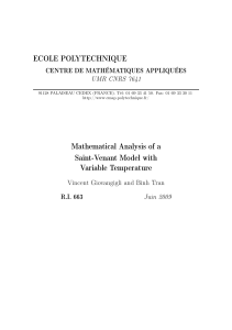 ECOLE POLYTECHNIQUE Mathematical Analysis of a Saint