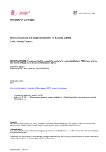 University of Groningen Stress responses and sugar metabolism in