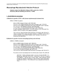 Macrophage Infection Protocol MEM (120707) Revised MG (111208)