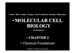 molecular cell biology • molecular cell biology