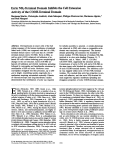 Ezrin NH2-Terminal Domain Inhibits the Cell