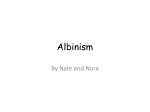 Albinism - OG