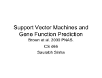 Support Vector Machines and Gene Function Prediction