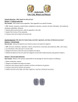 Study Guide Unit: Cells, Mitosis and Meiosis