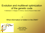 Evolution and multilevel optimization of the genetic code
