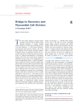 Bridge to Recovery and Myocardial Cell€Division