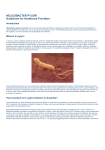 HELICOBACTER PYLORI Guidelines for