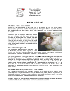 anemia in the cat - Liles Animal Clinic