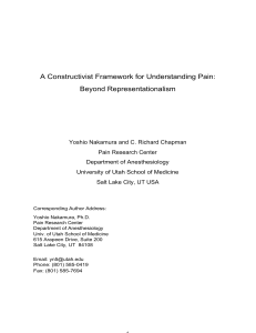 Constructivist Framework for Understanding Pain