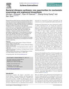 Bacterial diterpene synthases: new