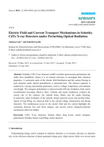 Electric Field and Current Transport Mechanisms in Schottky CdTe X