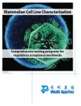 Mammalian Cell Line Characterization