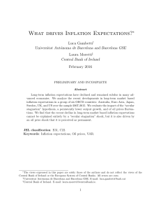 What drives Inflation Expectations?
