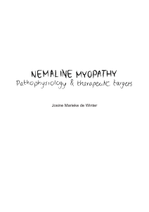 Nemaline myopathy: pathophysiology and therapeutic targets