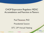 CHOP Expression Regulates MDSC Accumulation and Function in