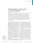 TGFβ signalling: a complex web in cancer progression