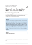 2 Biogenesis and the regulation of the maturation of miRNAs