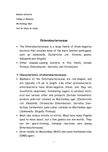 Escherichia coli