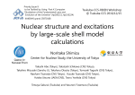 Nuclear structure and excitations by large