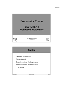 Gel-based proteomics • Electrophoresis • One dimensional