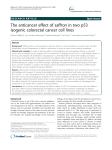 The anticancer effect of saffron in two p53 isogenic colorectal cancer
