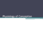 Physiology of conception