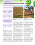 Lower petiole potassium concentration at bloom in rootstocks with