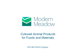 Cultured Animal Products for Foods and Materials