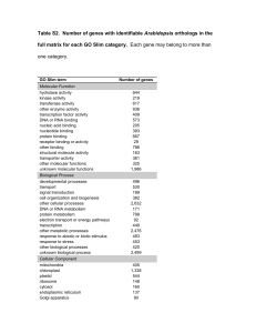 Table S2. Number of genes with identifiable Arabidopsis orthologs