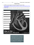 Heart Anatomy Handout