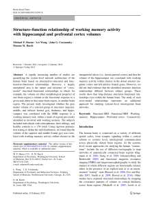 Structure–function relationship of working memory activity with