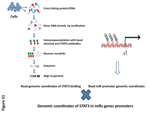 Slide 1 - BioMed Central