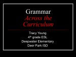 Grammar Across the Curriculum