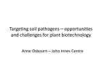 Targeting soil pathogens – opportunities and challenges for plant