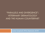 “parallels and divergence”: veterinary dermatology and the human