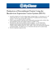 Production of Recombinant Protein Using the Baculovirus