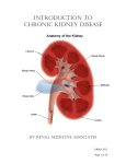 Introduction to Chronic Kidney Disease