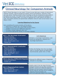 Clinical Neurology for Companion Animals course overview
