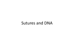 Sutures and DNA