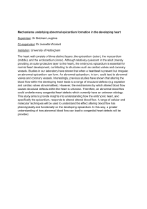 Mechanisms underlying abnormal epicardium formation in the