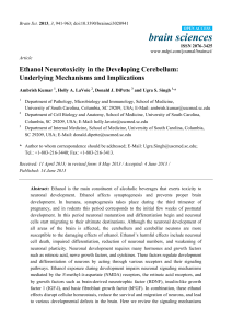 Ethanol Neurotoxicity in the Developing Cerebellum