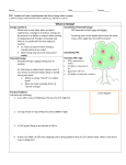 GPE and KE Introduction and Practice Worksheet
