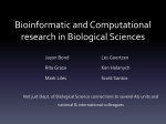 Bioinformatic and Computational needs in Biological Sciences