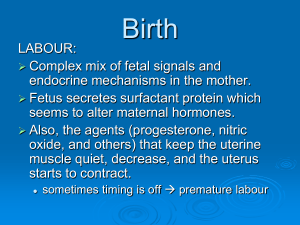 Birth - Psychology
